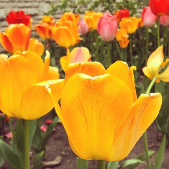 Meet your Posher, Gloria - Picture 1 of 1